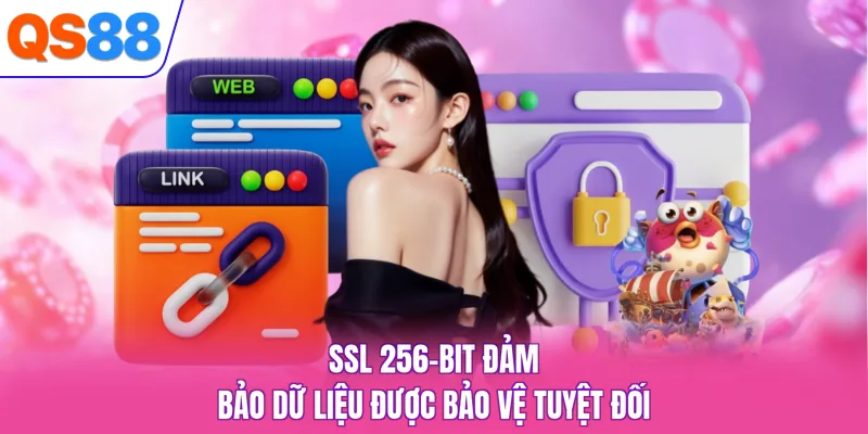 SSL 256-bit đảm bảo dữ liệu được bảo vệ tuyệt đối